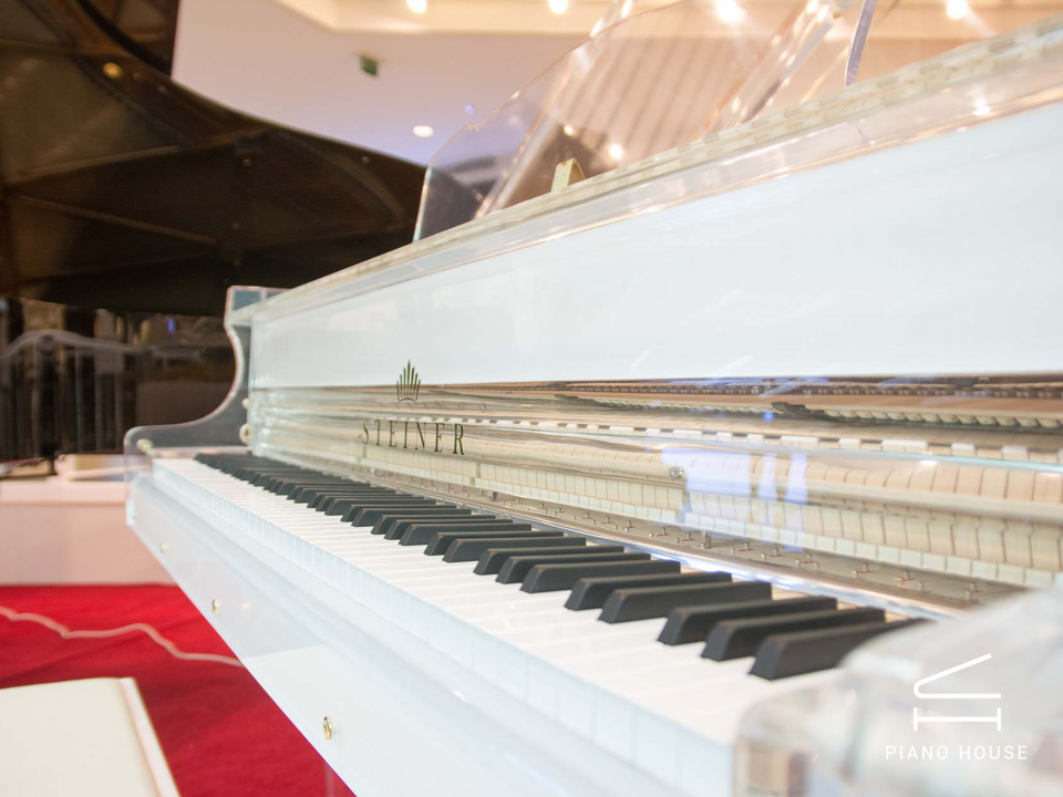 Steiner Crystal GP-168A