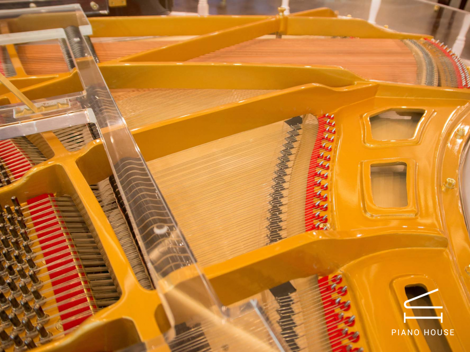 Steiner Crystal GP-168A