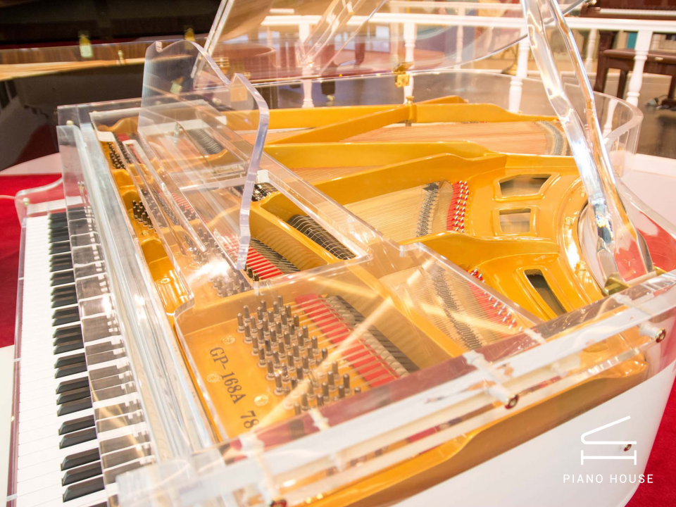 Steiner Crystal GP-168A