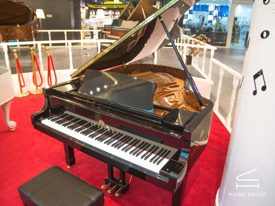 Steiner GP-186E Self-Playing