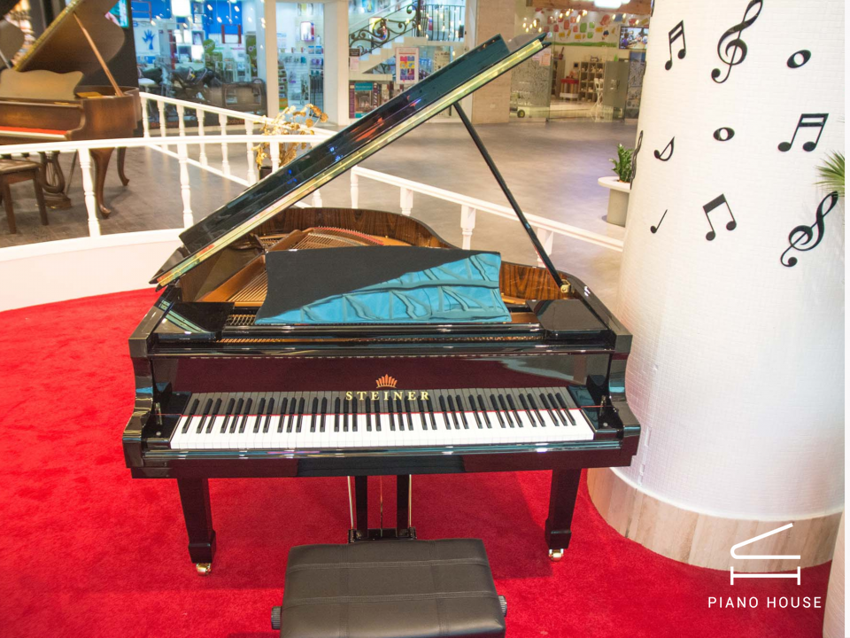 Steiner GP-186E Self-Playing