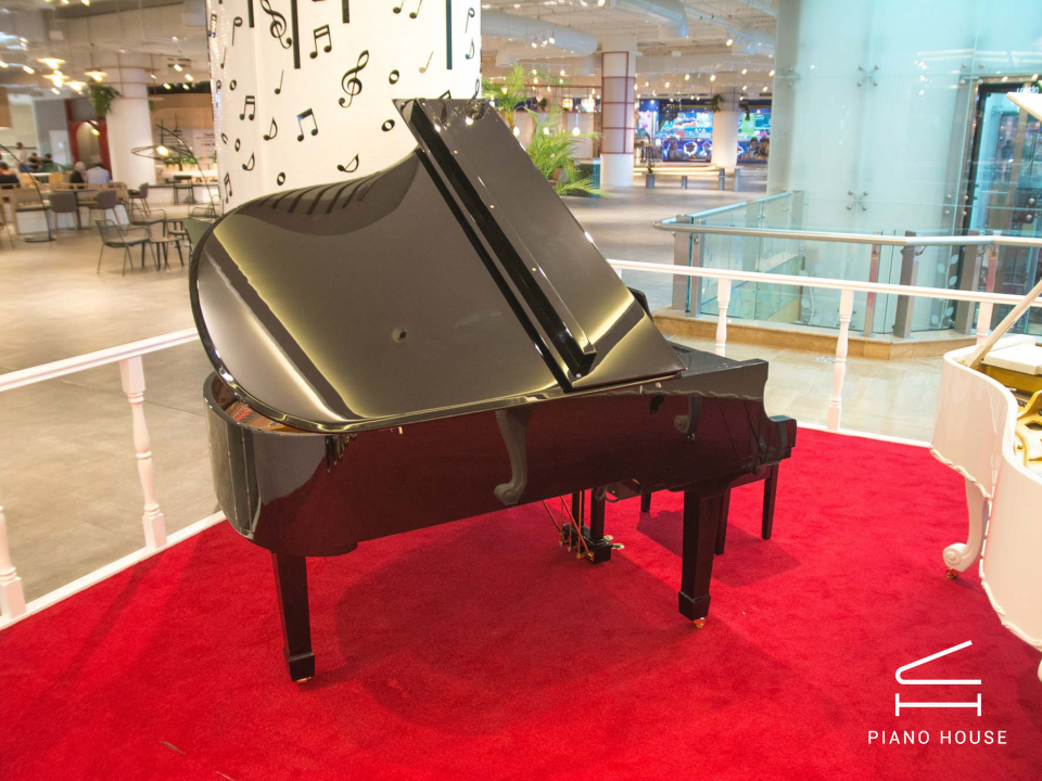 Steiner GP-186E Self-Playing