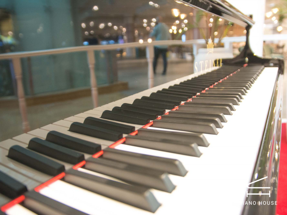 Steiner GP-186E Self-Playing