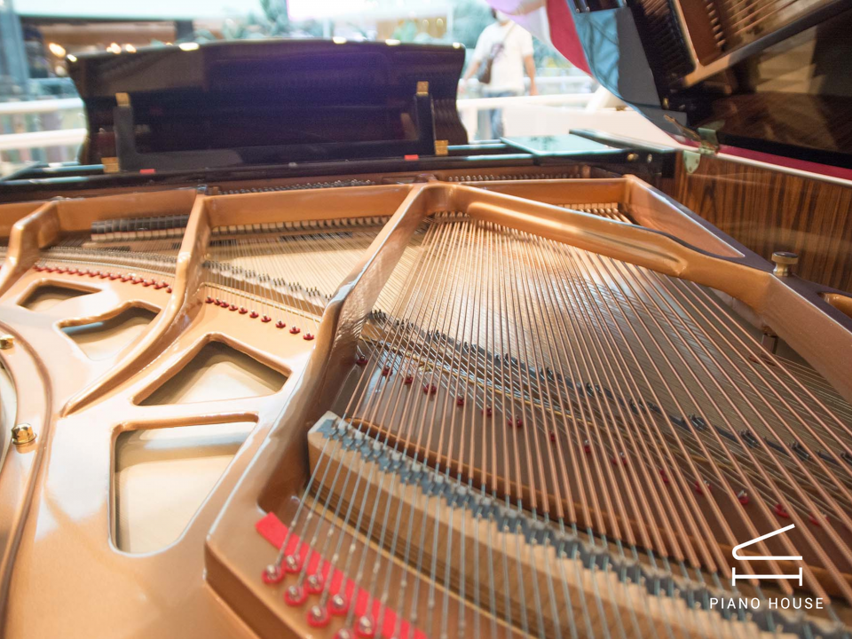 Steiner GP-186E Self-Playing