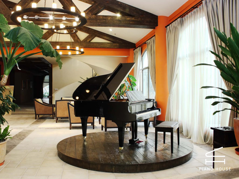 Steiner GP-231 Self-Playing