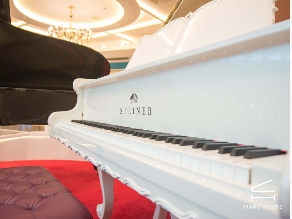 Steiner HG-168D Self-Playing