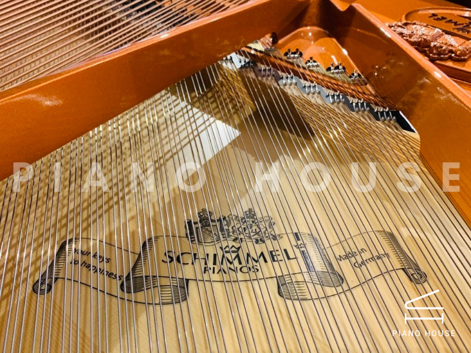 Schimmel Classic C169 Tradition