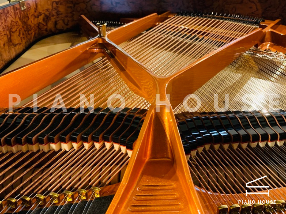 Schimmel Classic C169 Tradition