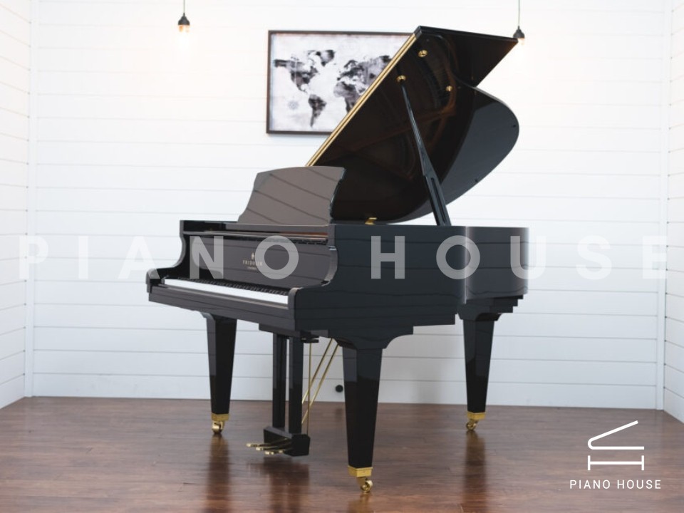 Fridolin Schimmel F156 Tradition (Ebony High Gloss)