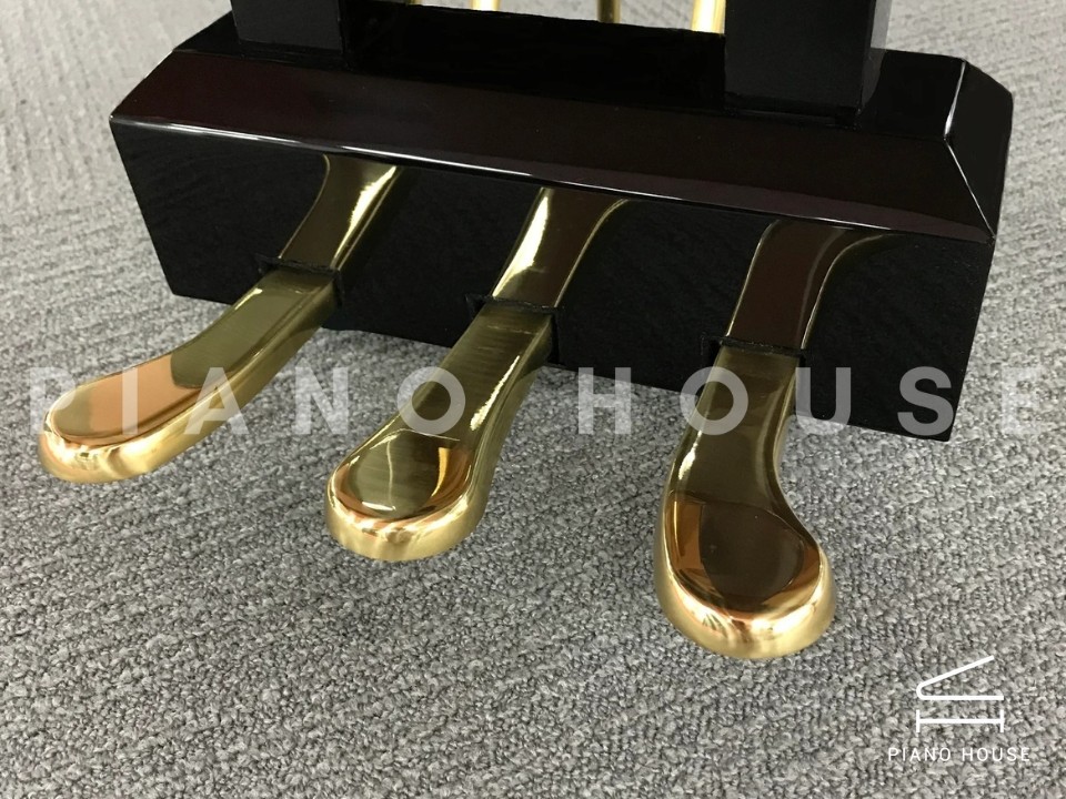 Fridolin Schimmel F156 Tradition (Ebony High Gloss)