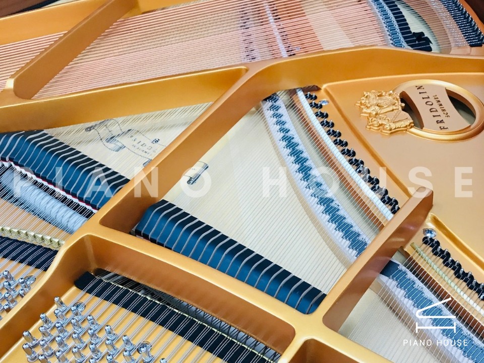 Fridolin Schimmel F156 Tradition (Ebony High Gloss)