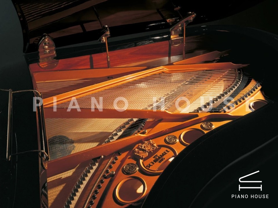 Schimmel K208 Pegasus