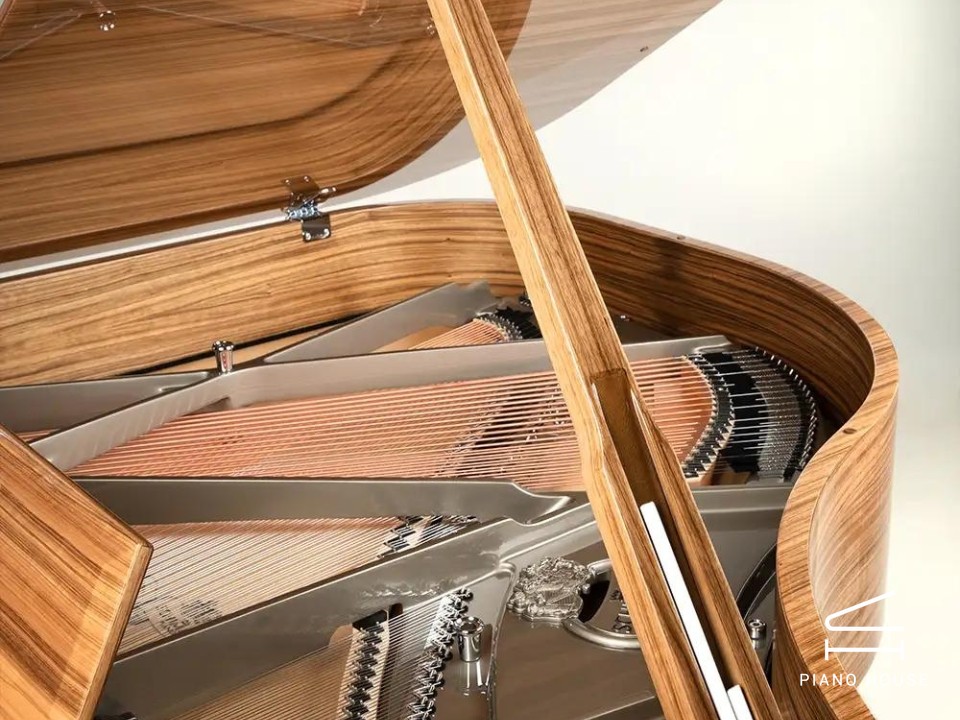 Schimmel Classic C169 Paldao