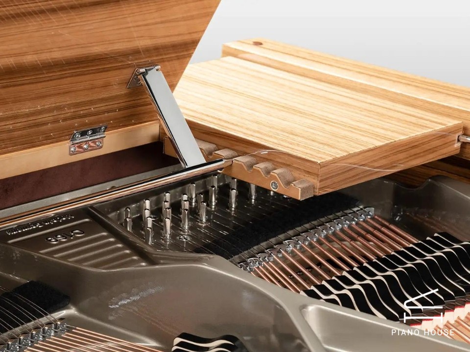 Schimmel Classic C169 Paldao