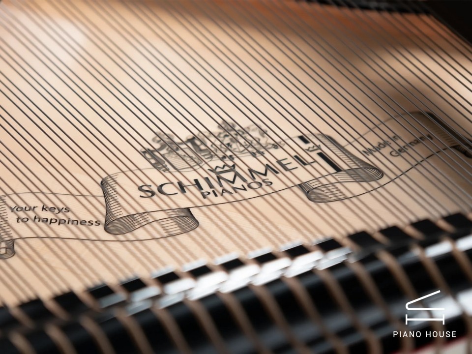 Schimmel Classic C169 The Black Pearl