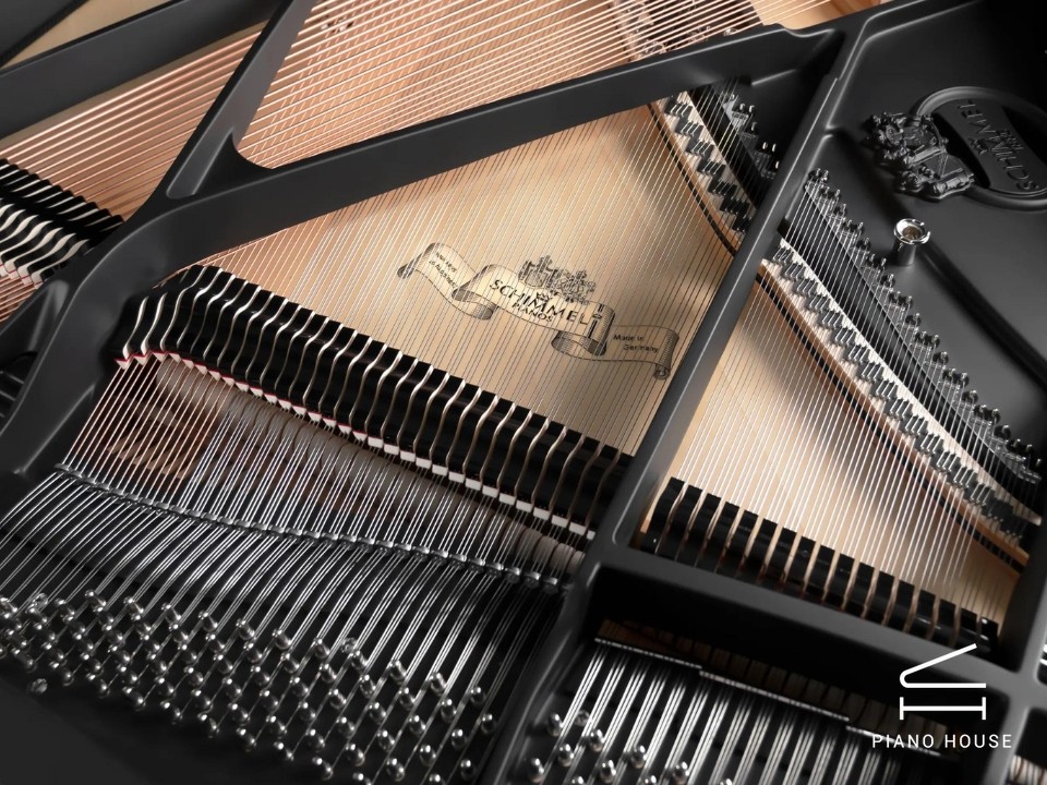 Schimmel Classic C169 The Black Pearl