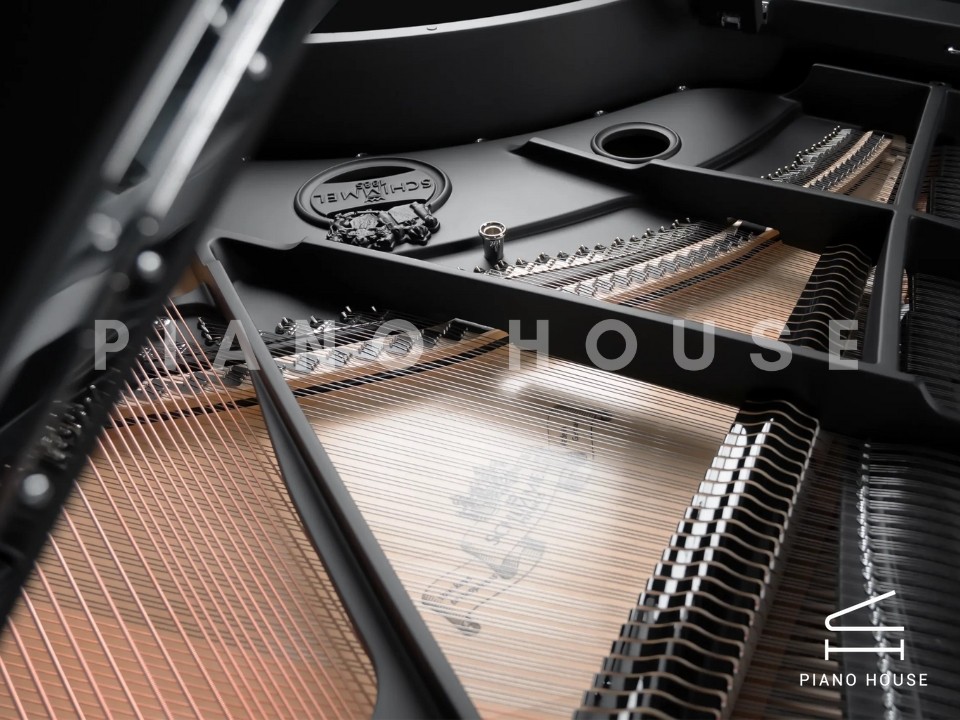 Schimmel Classic C169 The Black Pearl