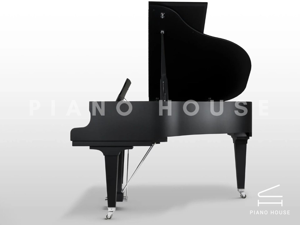 Schimmel Classic C169 The Black Pearl