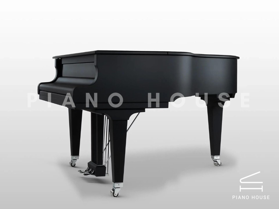 Schimmel Classic C169 The Black Pearl