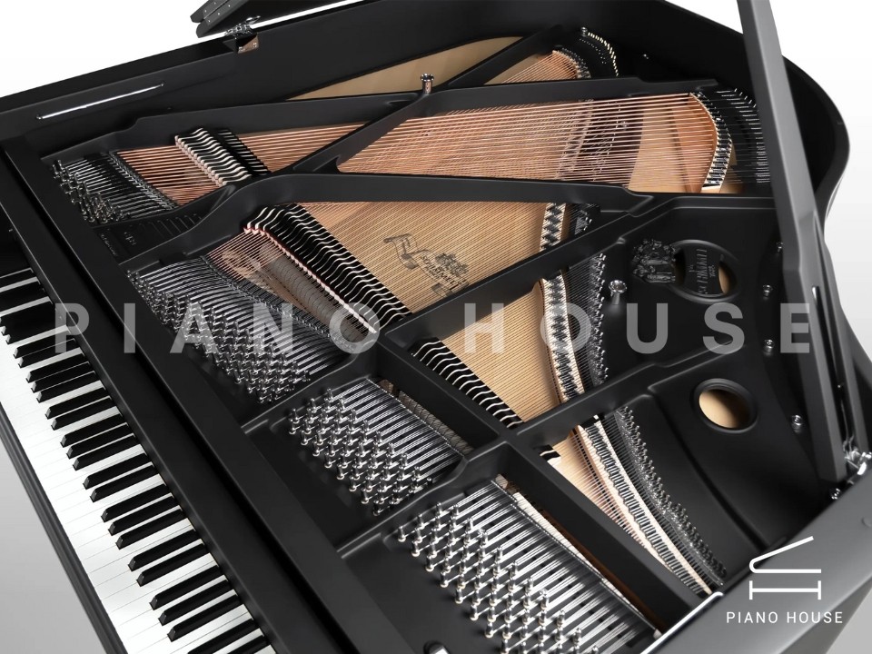 Schimmel Classic C169 The Black Pearl