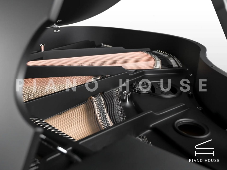 Schimmel Classic C169 The Black Pearl