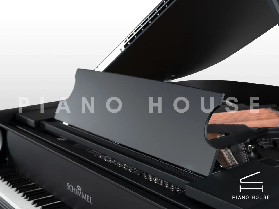 Schimmel Classic C169 The Black Pearl