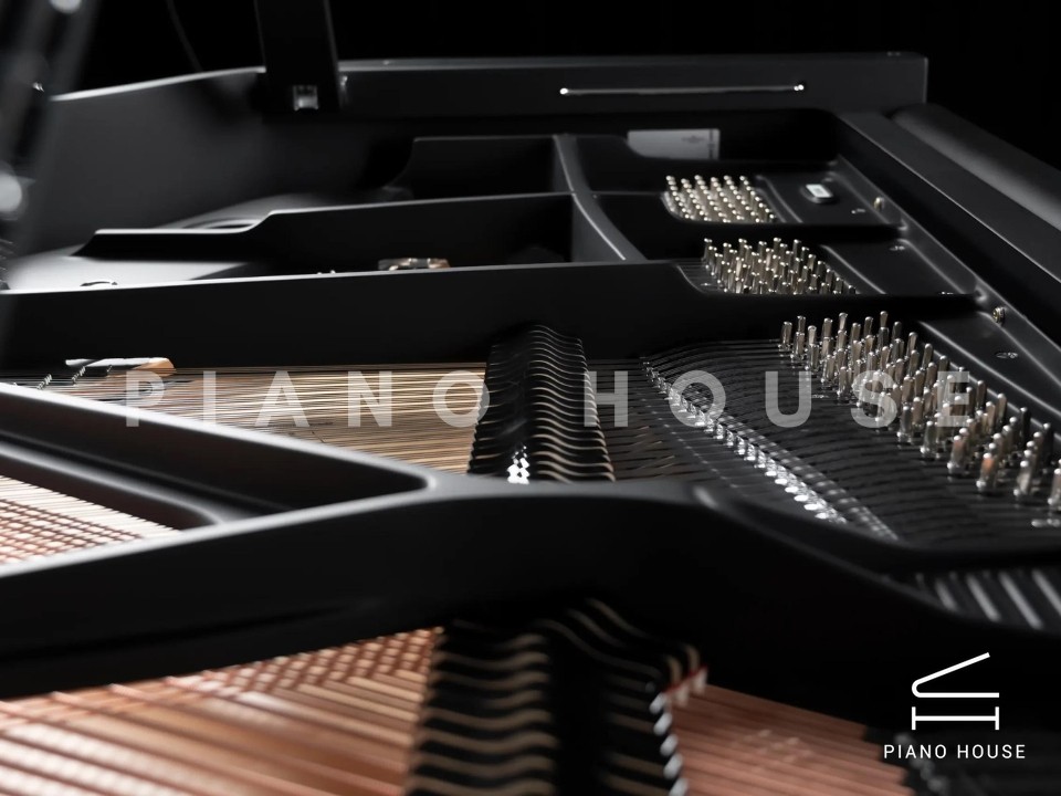 Schimmel Classic C169 The Black Pearl