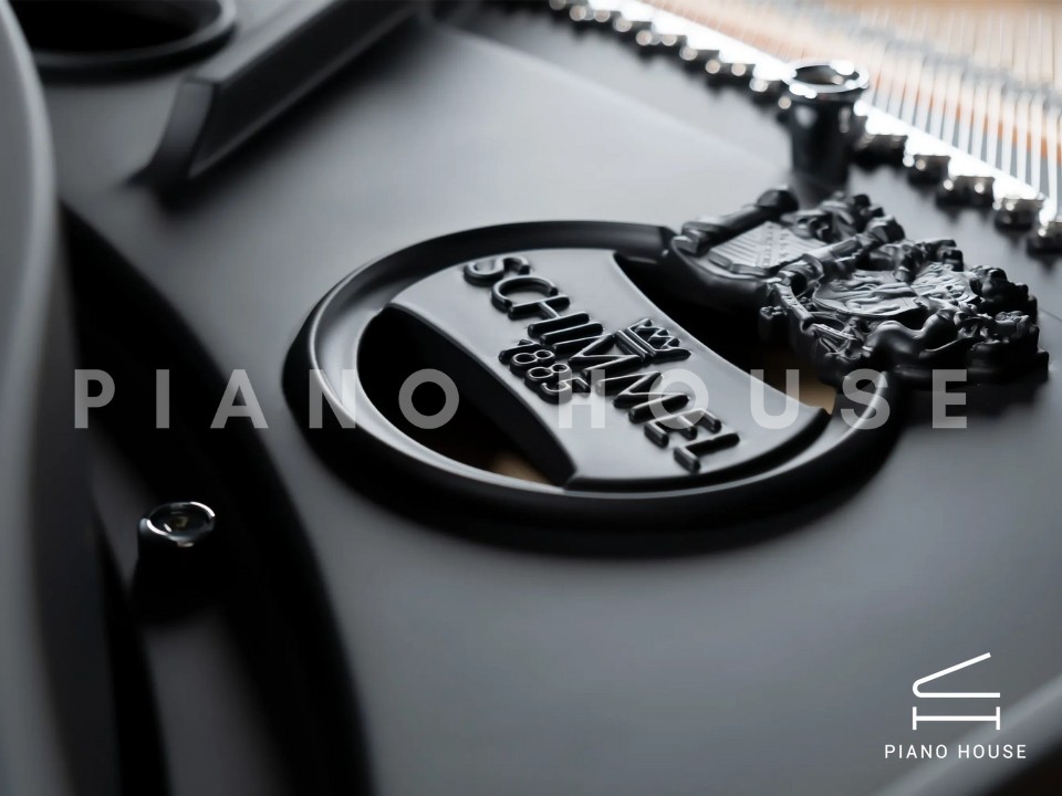 Schimmel Classic C169 The Black Pearl