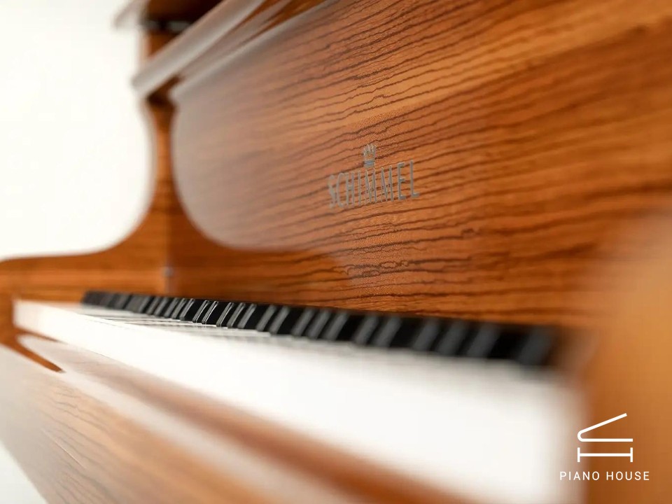 Schimmel Classic C169 Zebrano