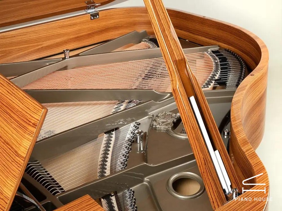 Schimmel Classic C169 Zebrano