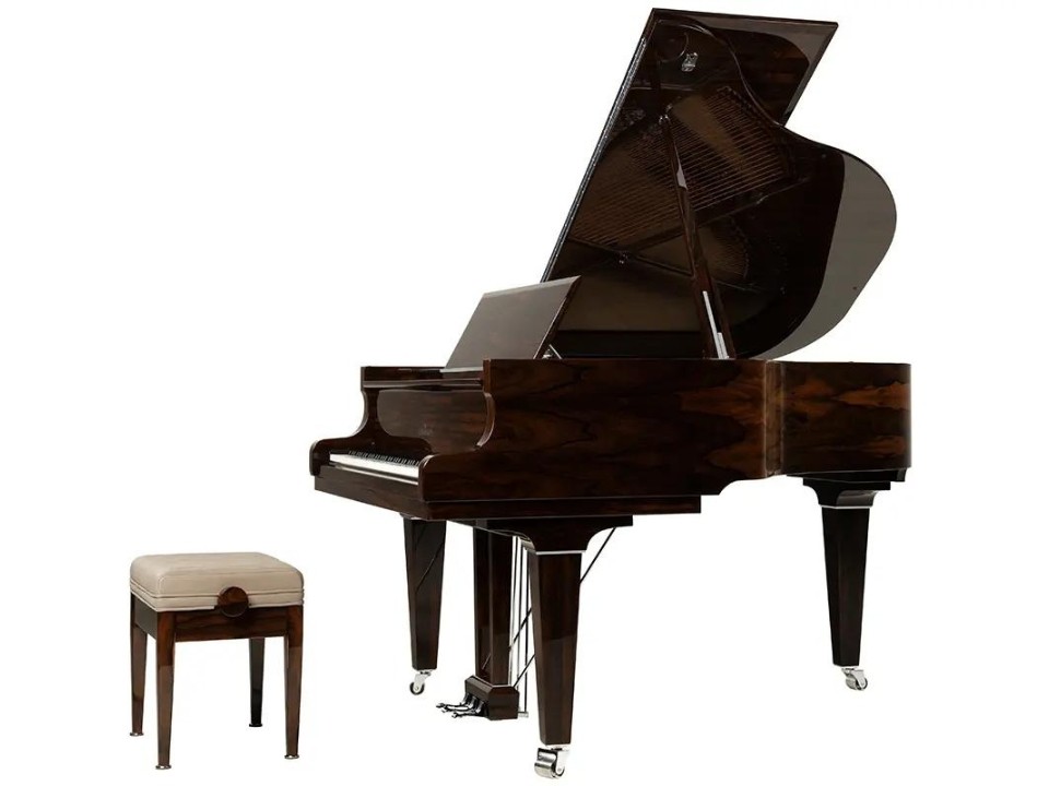 Schimmel Classic C169 Ziricote