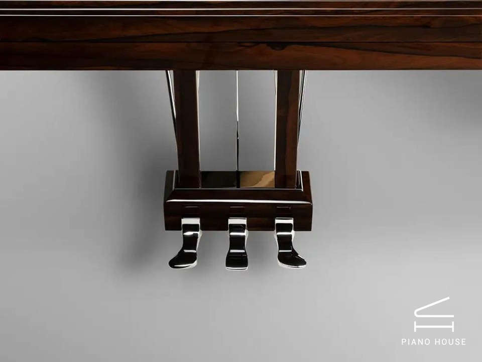 Schimmel Classic C169 Ziricote