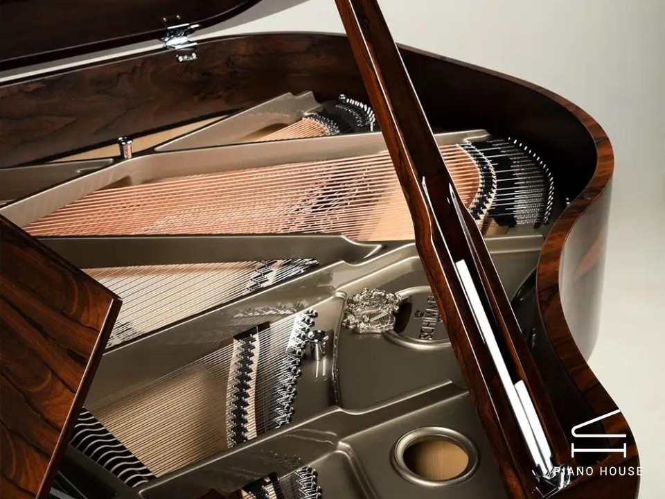 Schimmel Classic C169 Ziricote