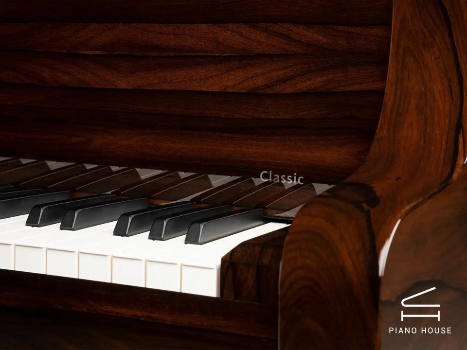 Schimmel Classic C169 Ziricote