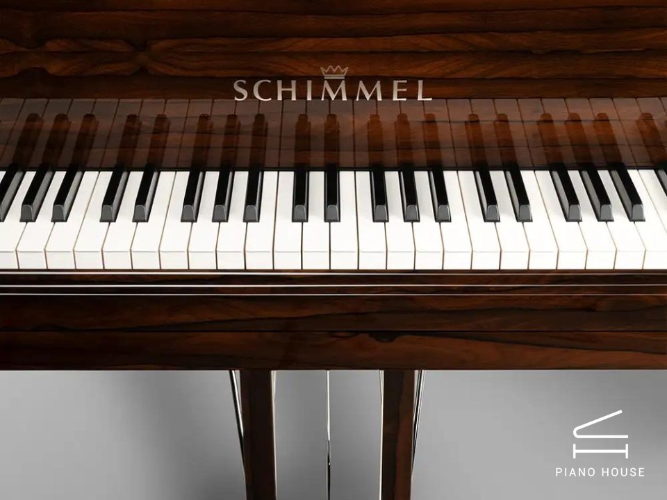 Schimmel Classic C169 Ziricote