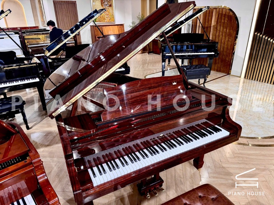 Schreiner & Söhne GP-170