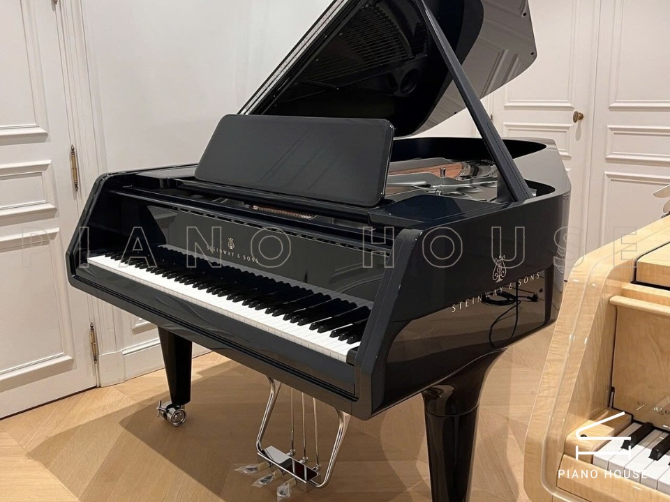 Steinway & Sons Noé Limited Edition (Midnight Blue)