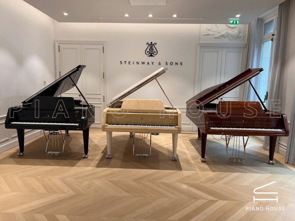 Steinway & Sons Noé Limited Edition (Midnight Blue)