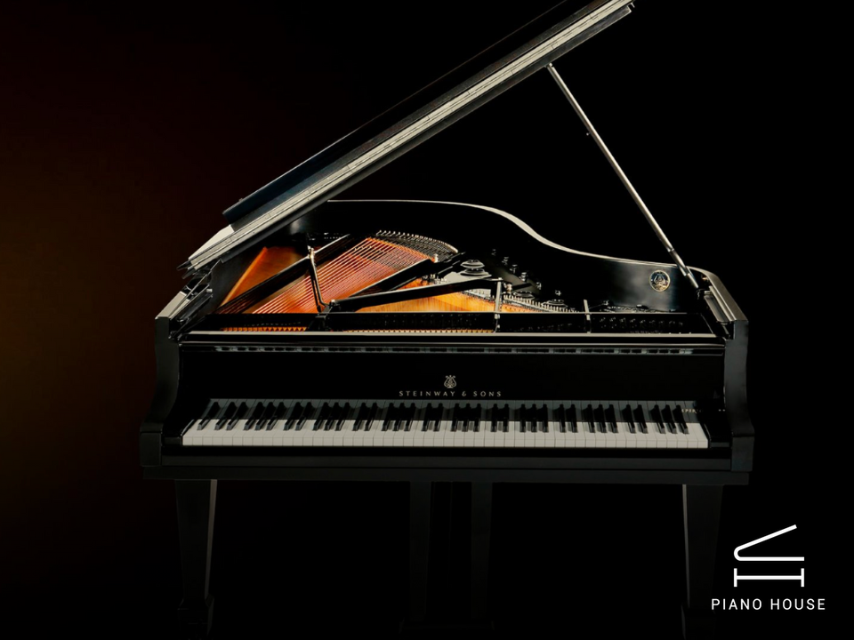 Steinway & Sons - The Jet Noir