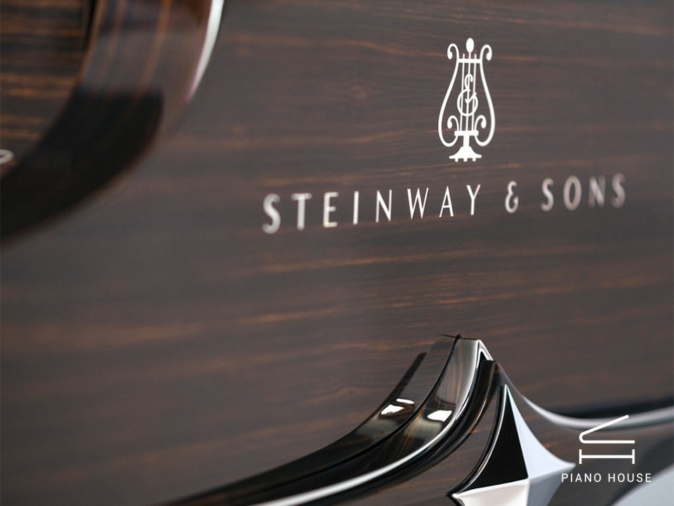 Steinway & Sons Black Dimond model D
