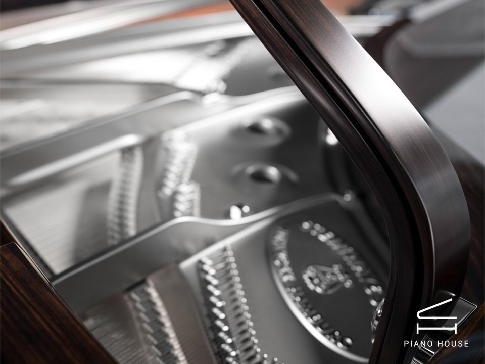 Steinway & Sons Black Dimond model D