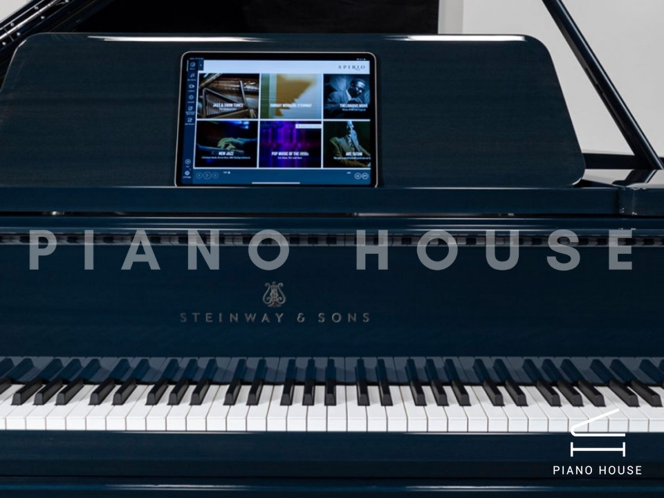 Steinway & Sons Noé Limited Edition (Midnight Blue)