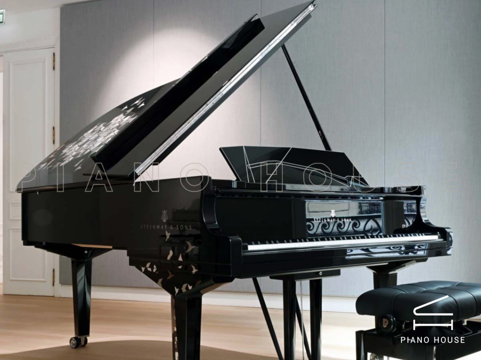 Steinway & Sons Philharmonie de Paris