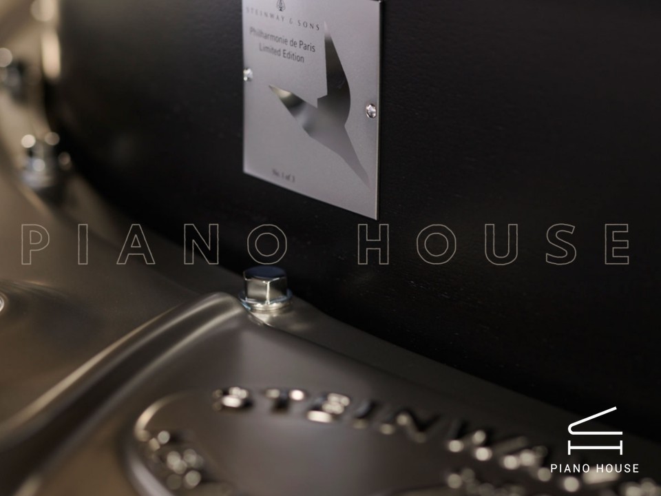 Steinway & Sons Philharmonie de Paris
