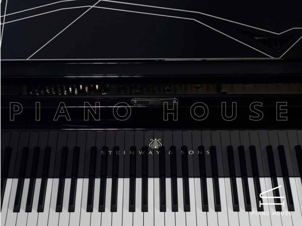 Steinway & Sons Philharmonie de Paris