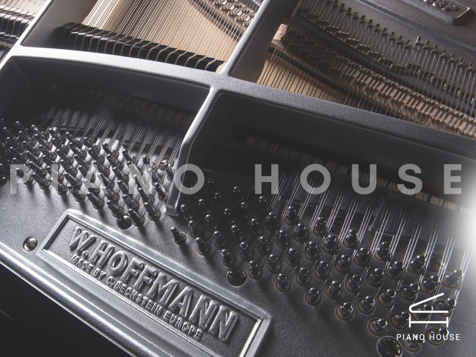 P188 (W.HOFFMANN PROFESSIONAL)