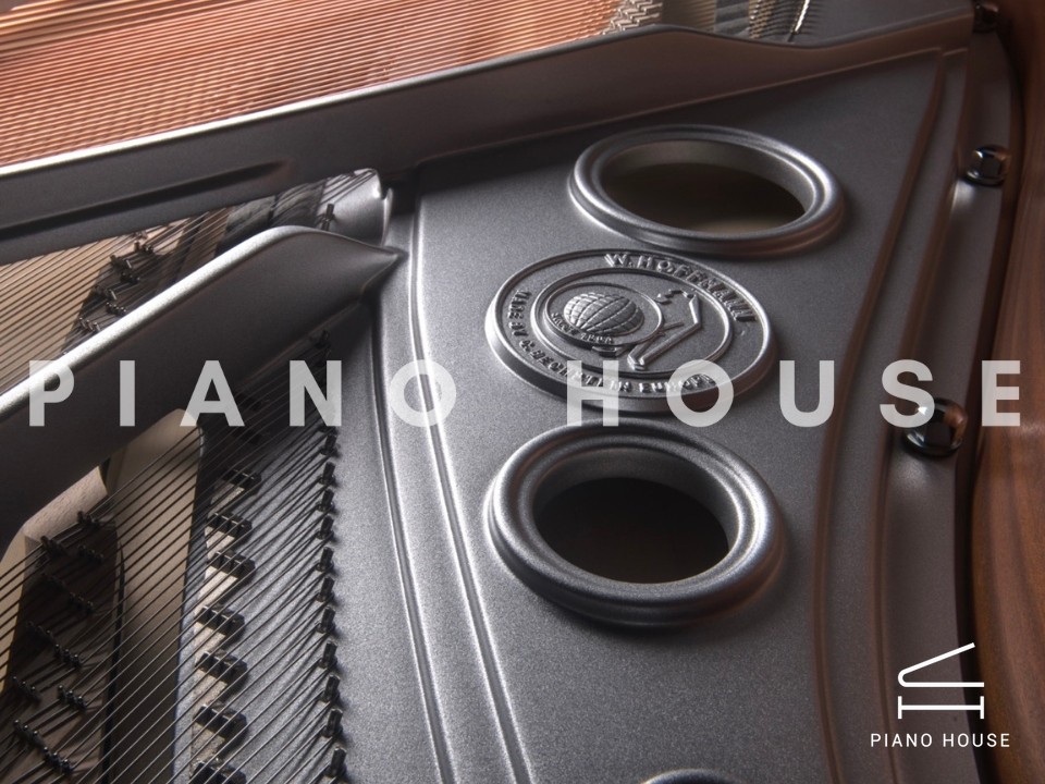 P188 (W.HOFFMANN PROFESSIONAL)