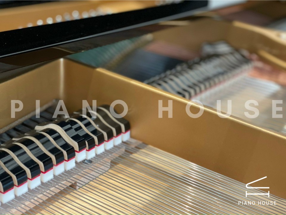 T161 (W.HOFFMANN TRADITION)