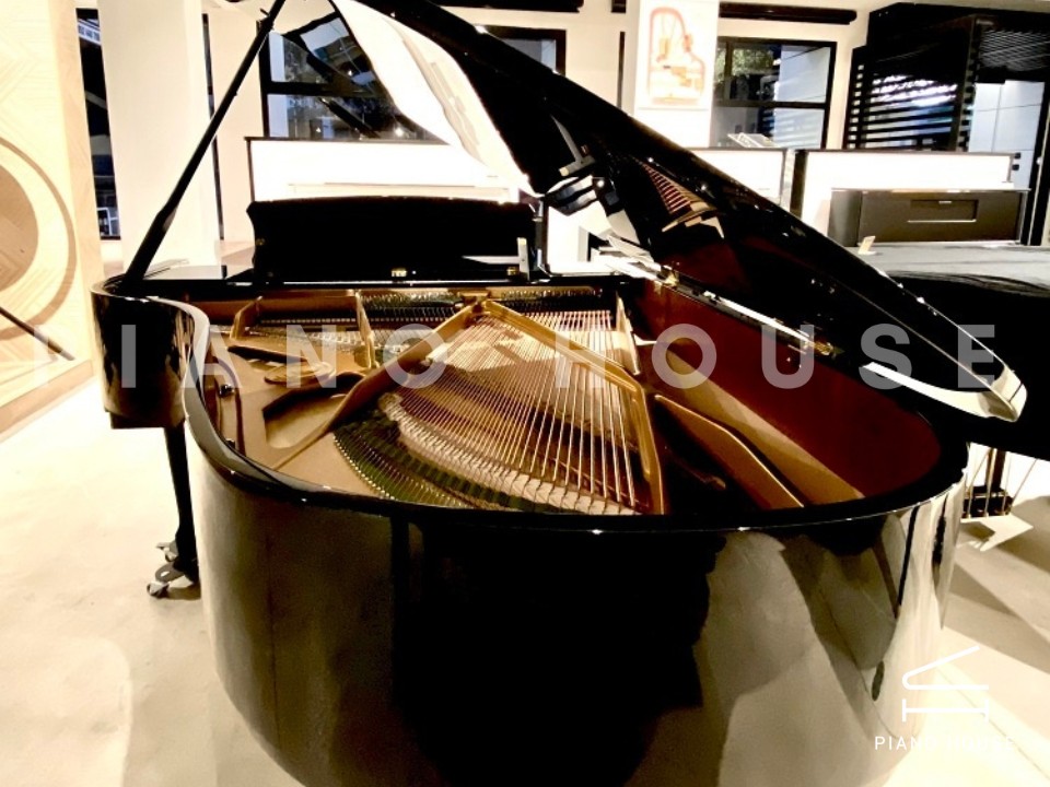 T186 (W.HOFFMANN TRADITION)