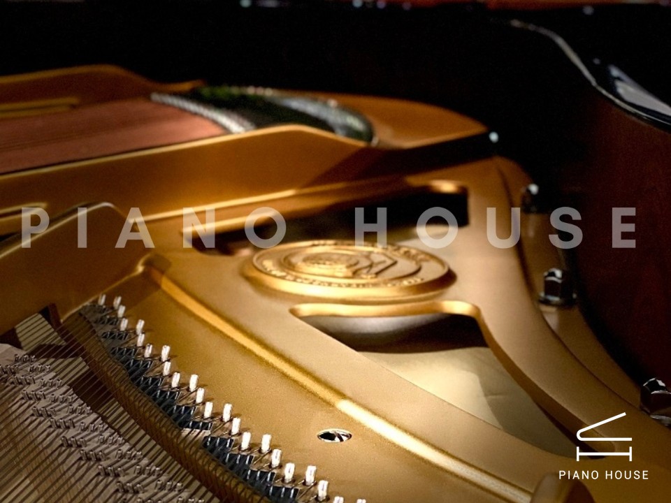 T186 (W.HOFFMANN TRADITION)